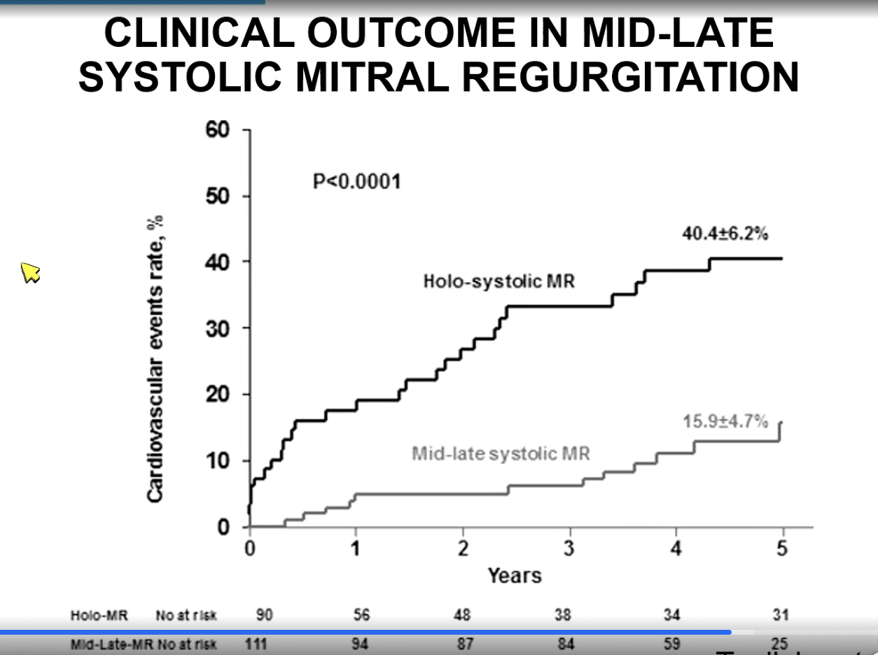 <p>Holosystolic MR as they tend to have more regurgitant volume.</p>