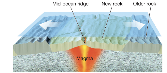 <p><strong>seafloor spreading process</strong></p>