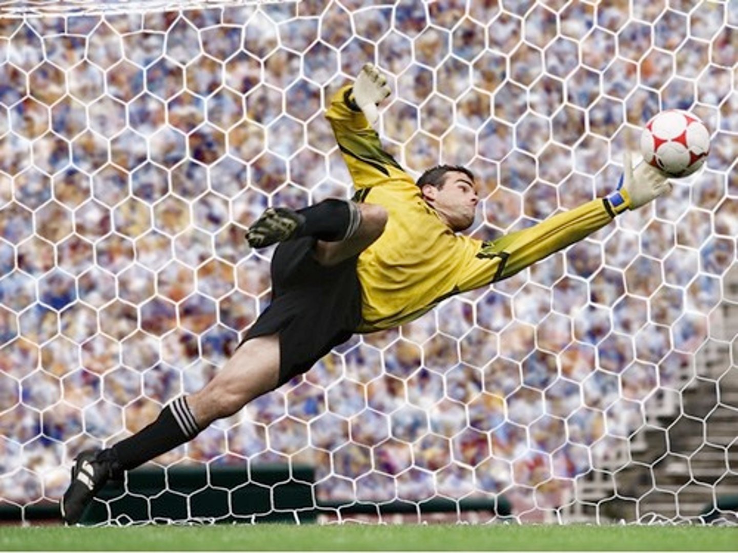 <p>yesterday, I practiced soccer</p>