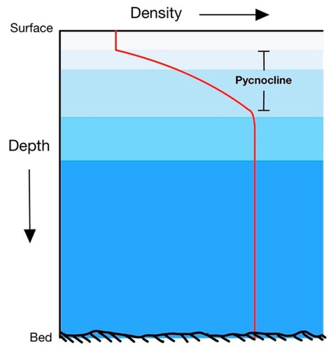<p>Density gradient created by the interaction of ocean circulation, temperature, and salinity</p><p>(halocline + thermocline)</p>