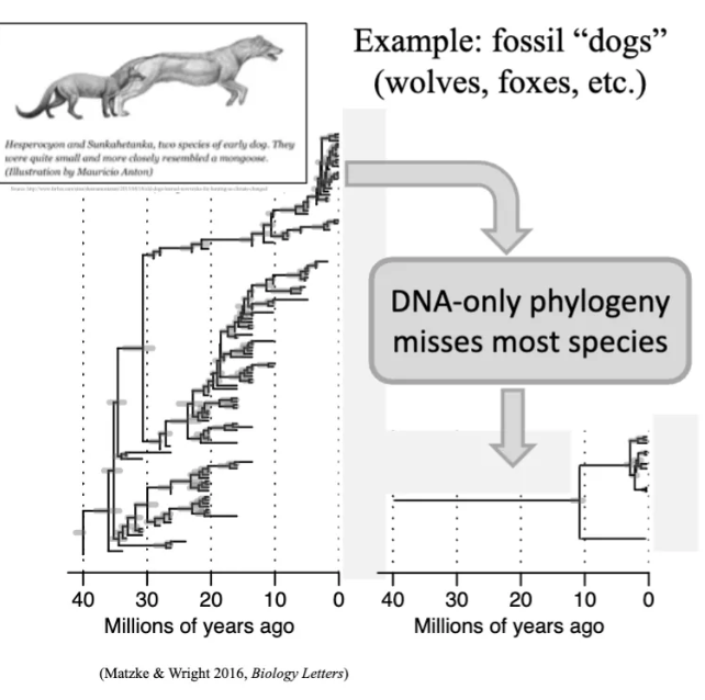 <p>explain </p>