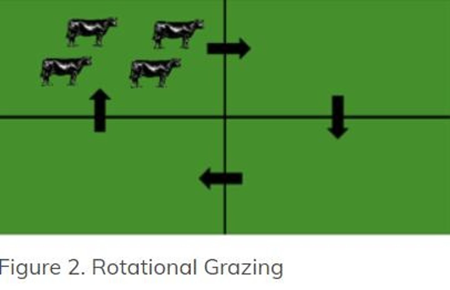 <p>Includes set-stocking, rotational, and strip grazing.</p>