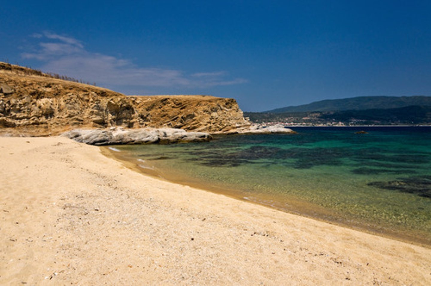 <p>seashore</p>