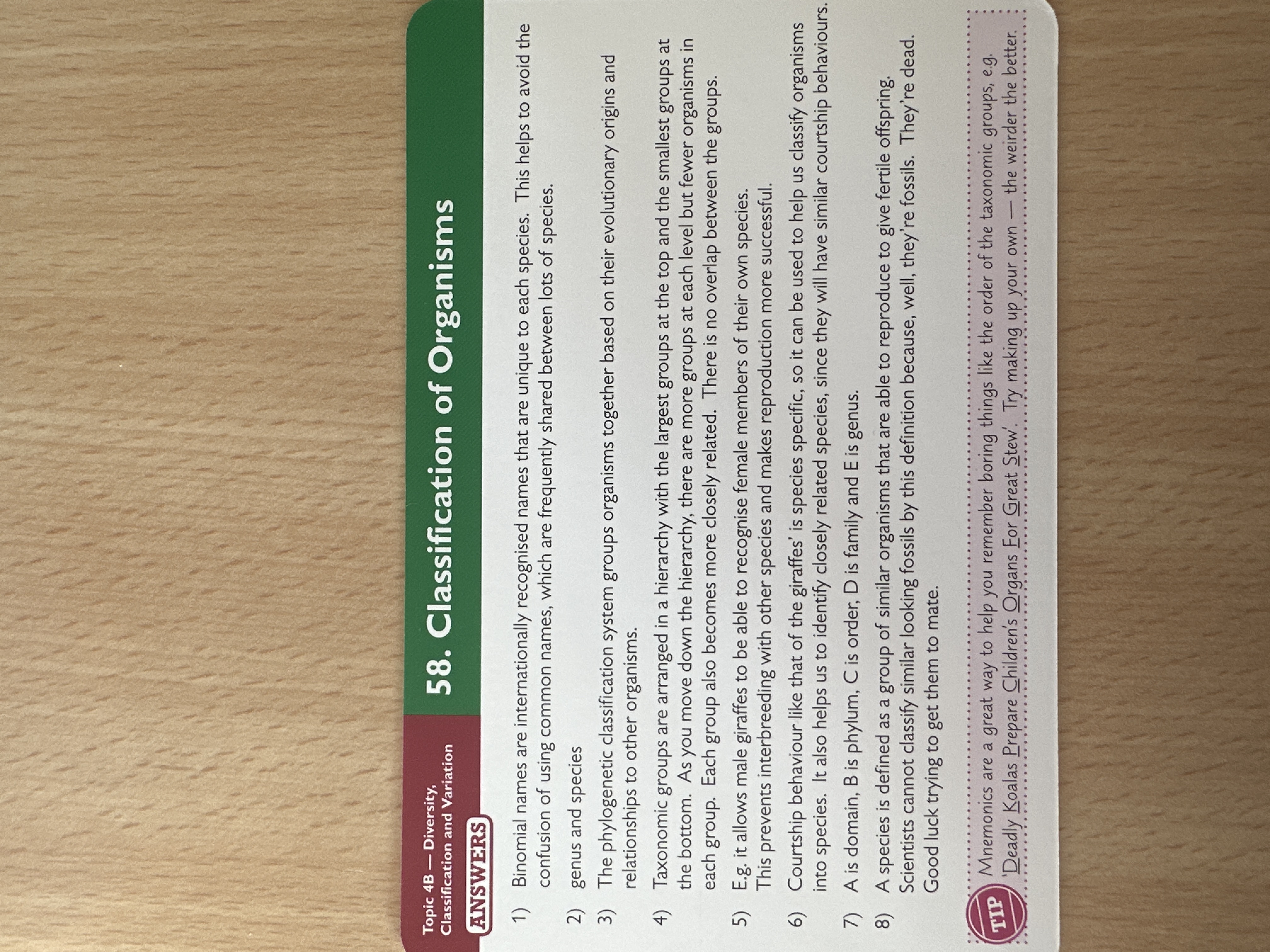 knowt flashcard image