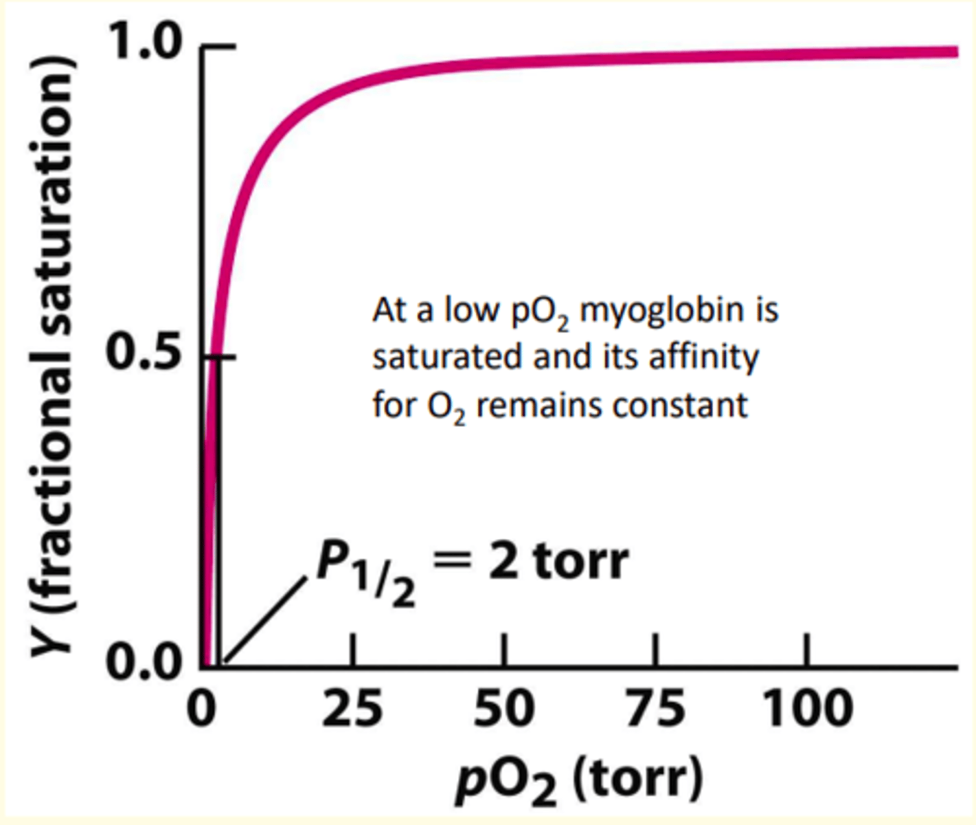 <p>hyperbolic binding curve</p>