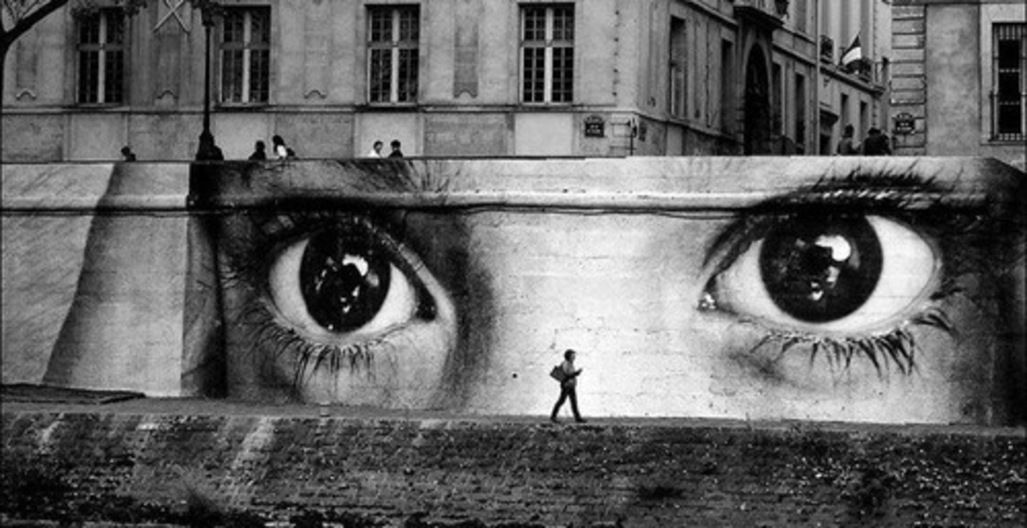 <p>Uses photography as a language<br>"Inside Out" : works made from a collection of over 400,000 volunteers portraits</p>