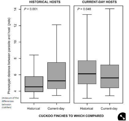 <ul><li><p>m→ compared hosts to the cuckoos to see if the parasites are tracking the hosts over time</p></li><li><p><span>r→</span></p><ul><li><p><span>historical cuckoos are more similar to historical hosts</span></p></li><li><p><span>current cuckoos are more similar to current hosts</span></p></li></ul></li></ul>