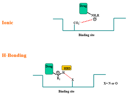 <p>Through +N-H:</p><ul><li><p>hydrogen bond donor — primary, secondary, and tertiary</p></li><li><p>ionic bonding — primary, secondary, and tertiary</p></li></ul>