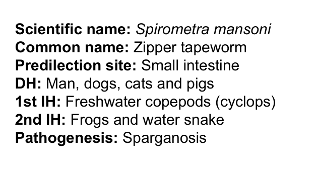 <p>Spirometra mansonoides</p><p>Coracidium</p>