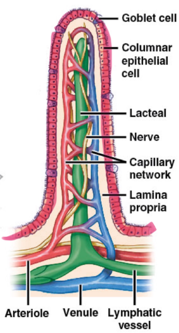 <p>what is the highlighted portion?</p>