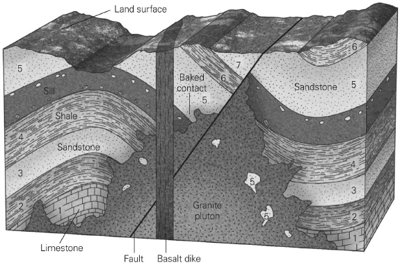 <p><span>Place the layers and geologic events in order from oldest to youngest. Make sure to include all of the layers and events, including the top surface. (There will be one event/layer per line when complete.)</span></p>
