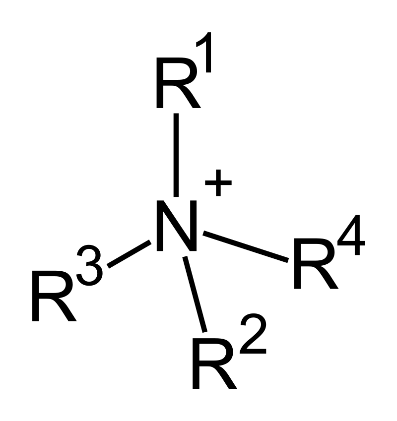 <ul><li><p>quaternary ammonium salts</p></li><li><p>N bonded to 4 R groups instead of 3 → becomes a positively charged ammonium compound</p></li></ul>