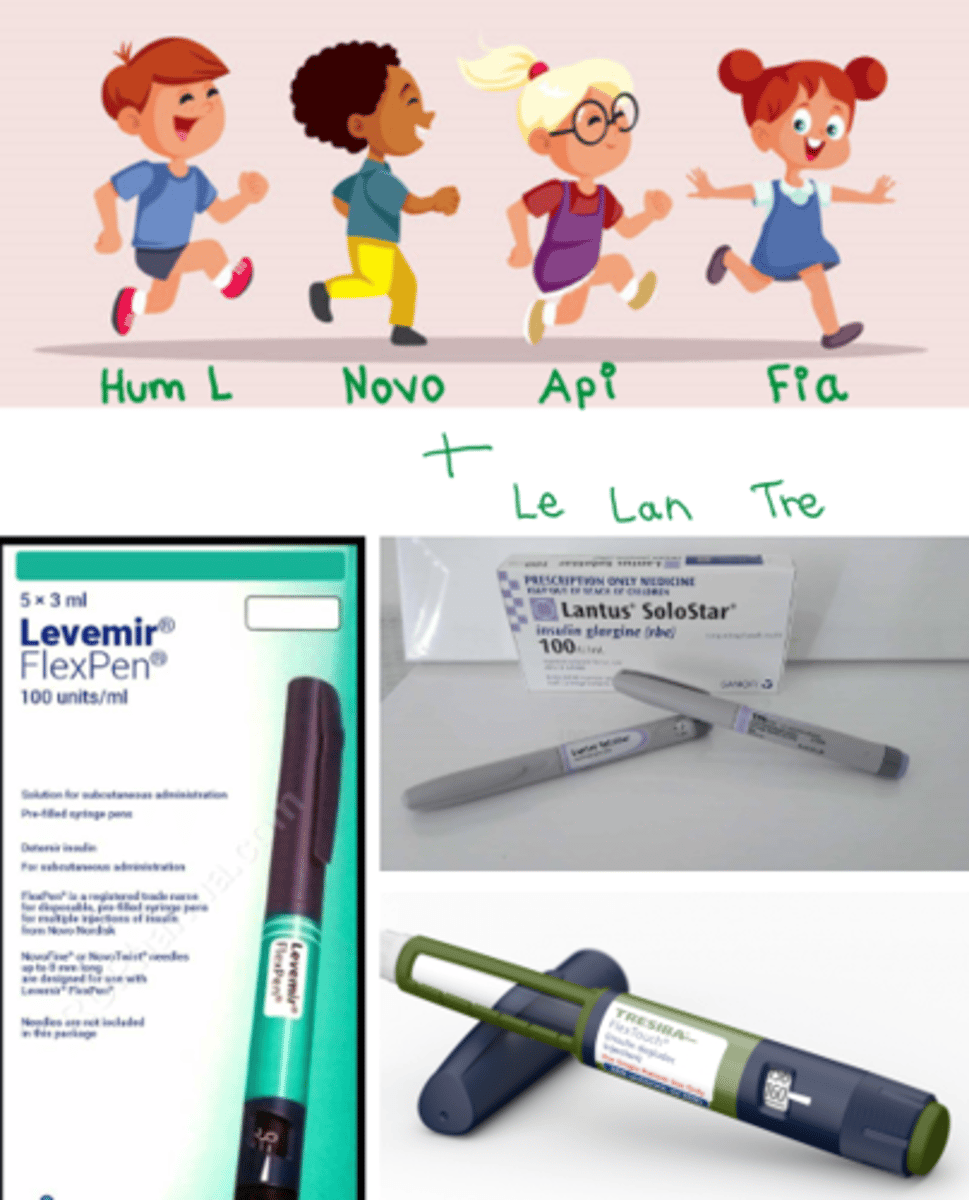 <p>long acting insulin</p>