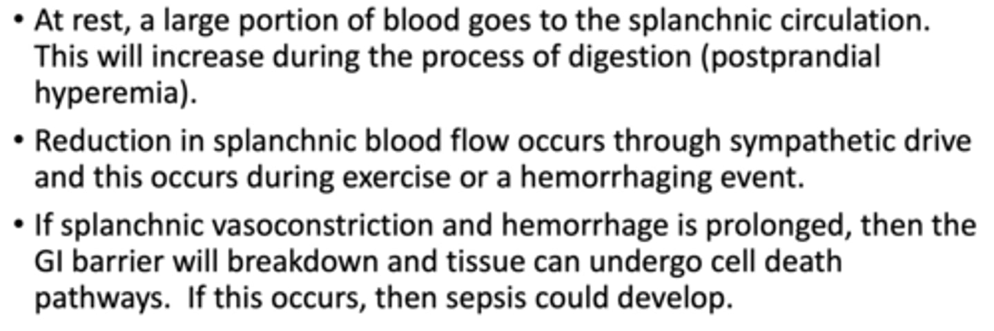 <p>summary of splanchnic circulation:</p>