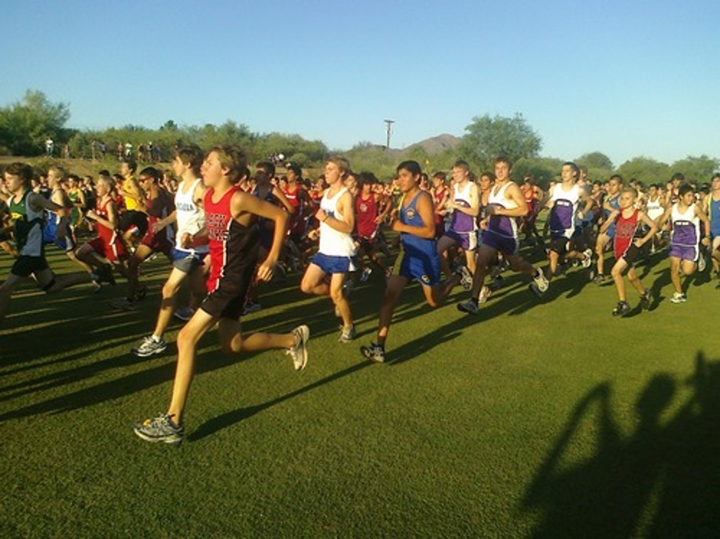 <p>cross country</p>