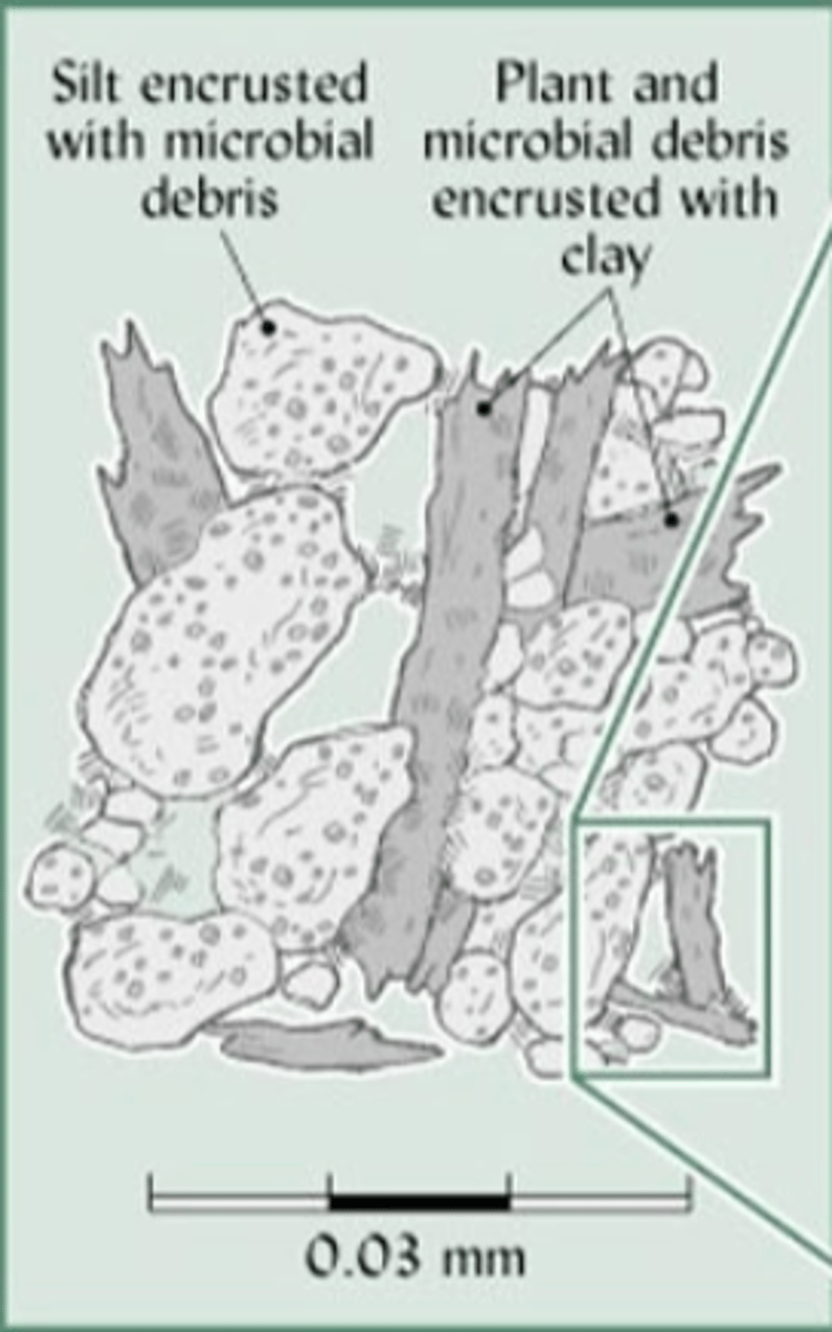 <p>0.03 mm diameter aggregates consisting of mineral grains encrusted with plant and microbial debris, or plant debris coated with clay</p>