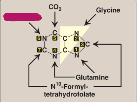 <p>What compound contributes these atoms to a purine ring?</p>