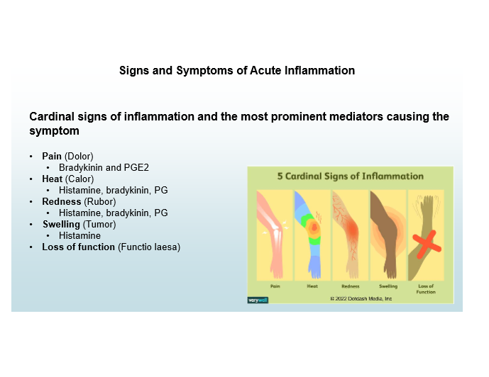 <p>Histamine, Bradykinin, Prostaglandins</p>