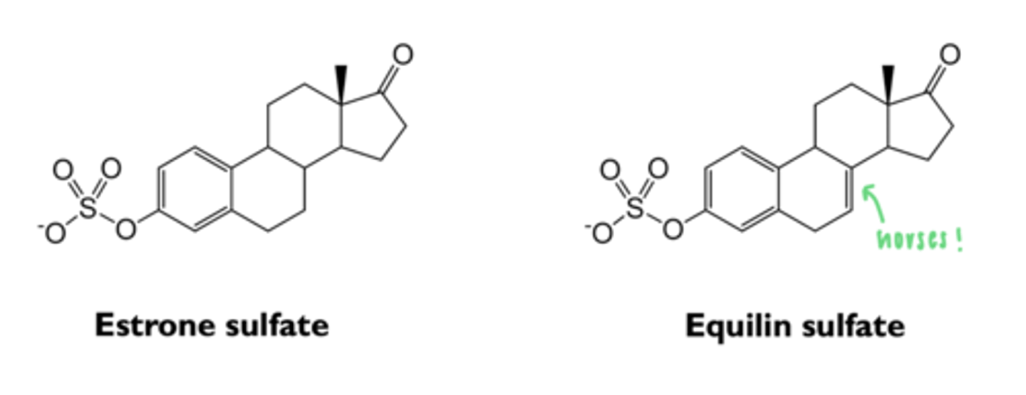 <p>usually collected from pregnant mares' urine</p>