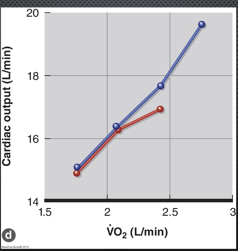 <p>-Q roughly same for some time</p><p>-but HR has a limit: can’t keep compensating for SV at high intensities and hot envionrment</p>