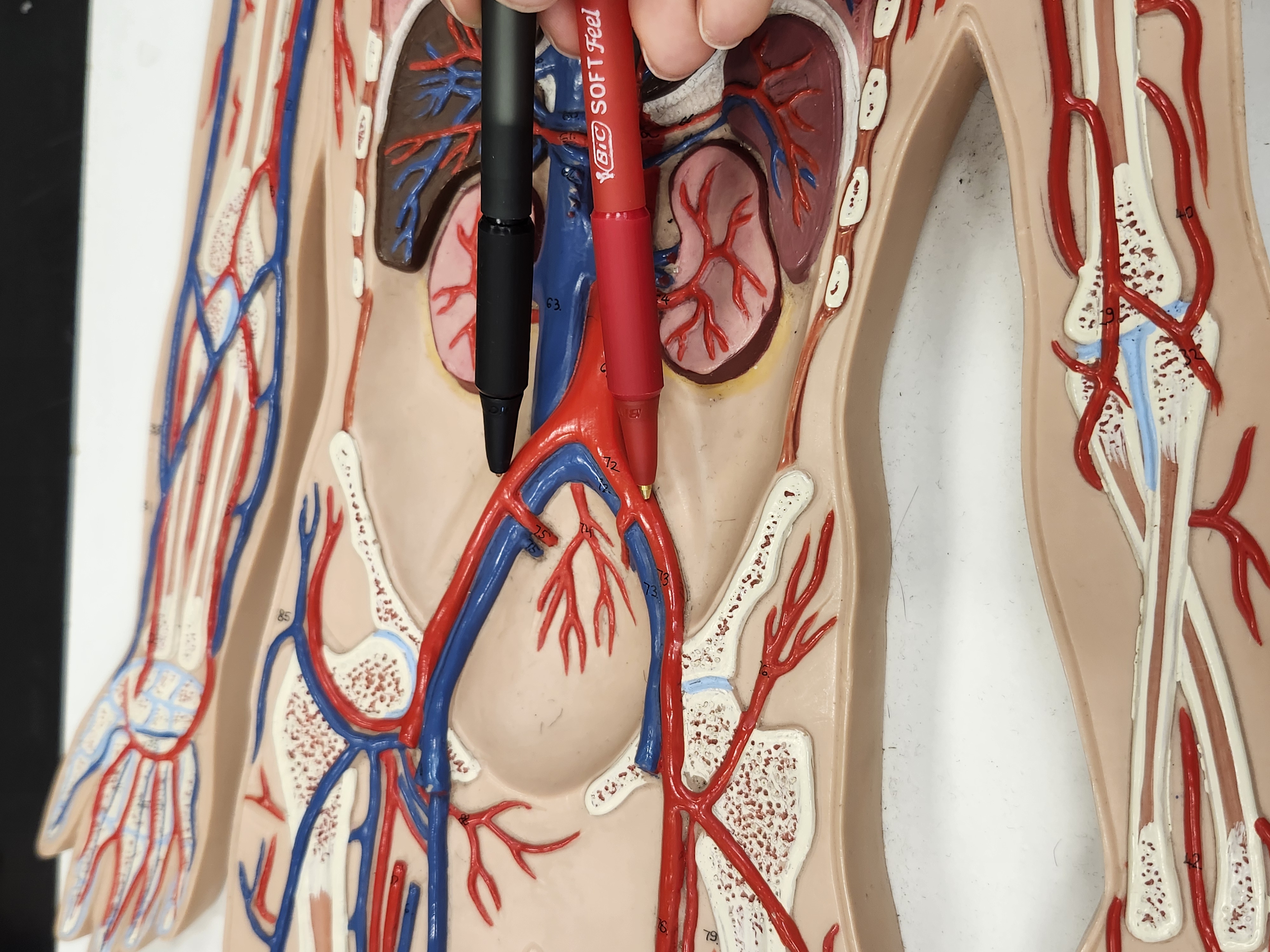 <p>Don’t forget R/L</p>