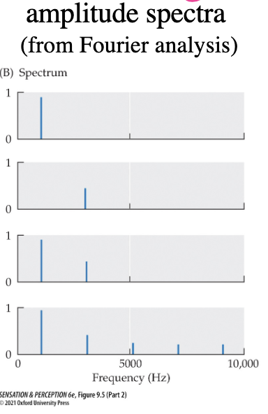 <p>extracts sine wave components from complex sounds - shows frequency of sine wave, complexity of sound wave, amplitude, phase</p>