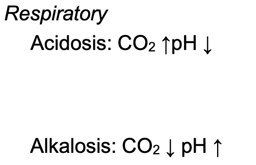<p>Result of hypoventilation that decreases the loss of CO2</p><ul><li><p>Decreases blood pH</p></li></ul><p><strong>Causes:</strong></p><ul><li><p>Overdose of narcotics or barbiturates</p></li><li><p>Anesthesia</p></li><li><p>Lung disease, such as emphysema and pneumonia</p></li><li><p>Object lodged in the windpipe</p></li></ul><p><strong>Treatments:</strong></p><ul><li><p>Identifying the underlying cause</p></li><li><p>IV administration of isotonic sodium bicarbonate solution or hemodialysis</p></li></ul><p></p>