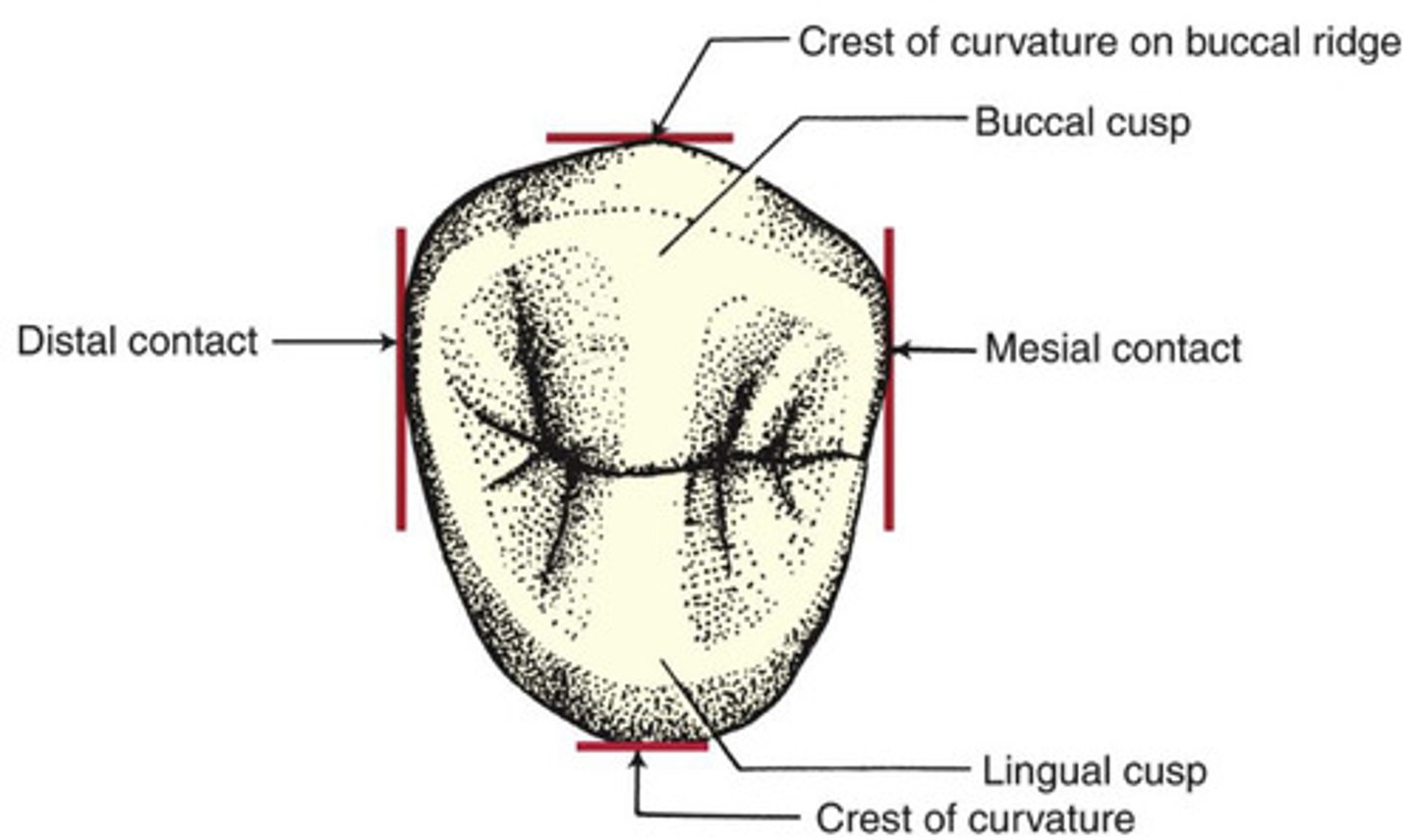 <p>essentially the same as contact</p><p>-becomes flatter with time</p>