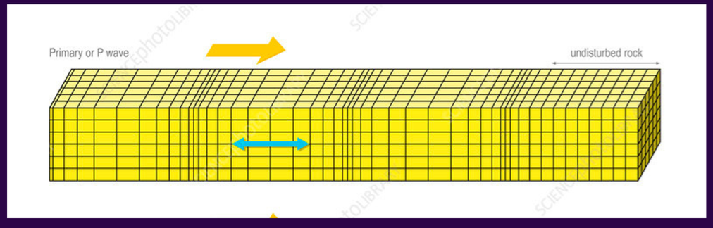 <p>these are<strong> longitudinal waves</strong>, which means that the direction of motion &amp; propagation are the same</p>