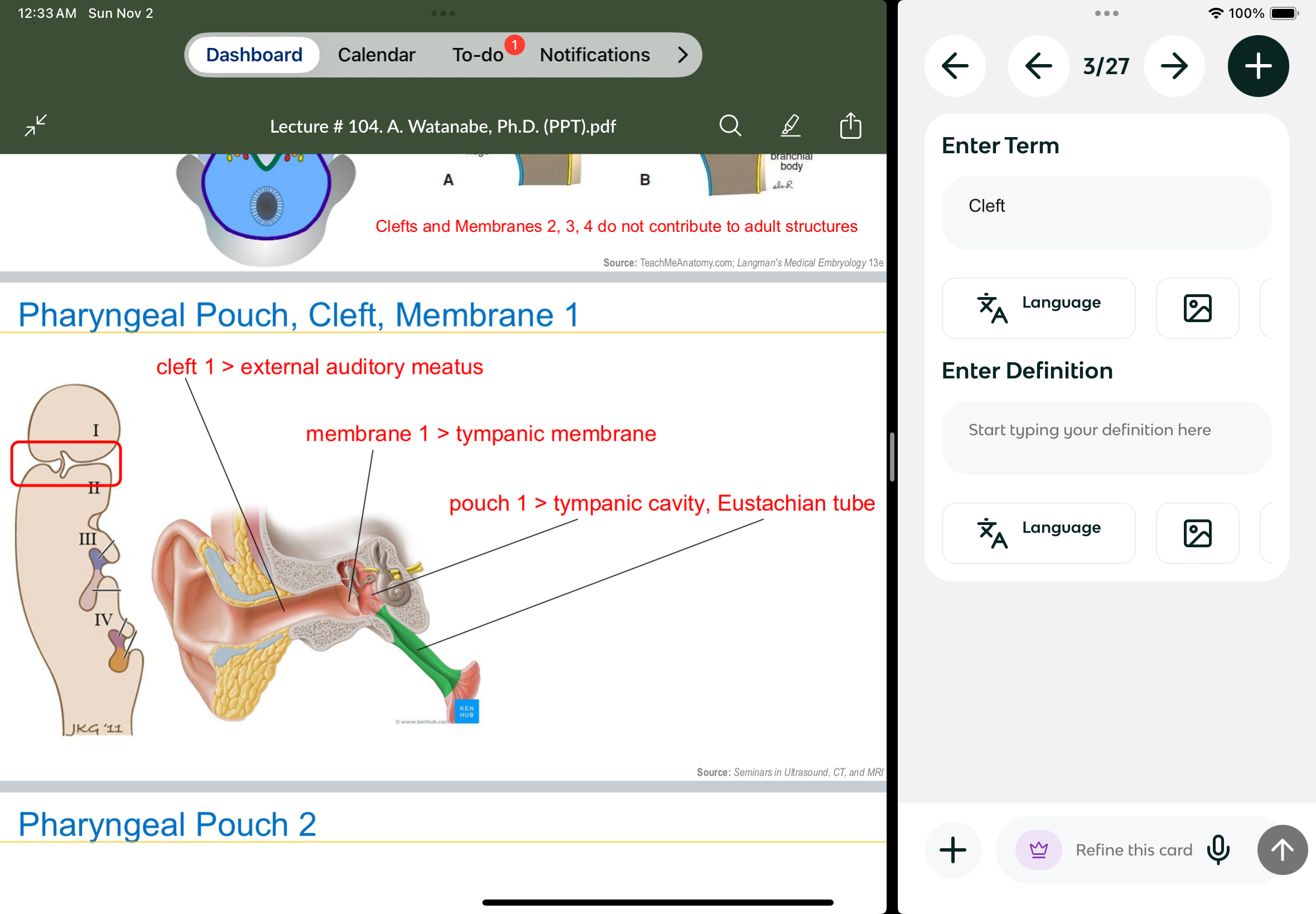 <p>External auditory meatus </p>