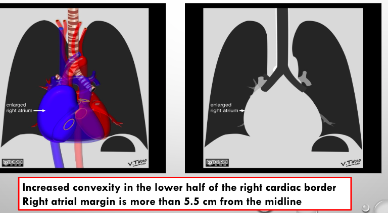 <p>what is this?</p>