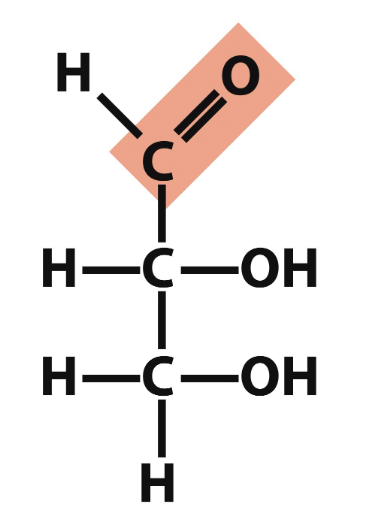 <p>what is the name of this structure? </p>