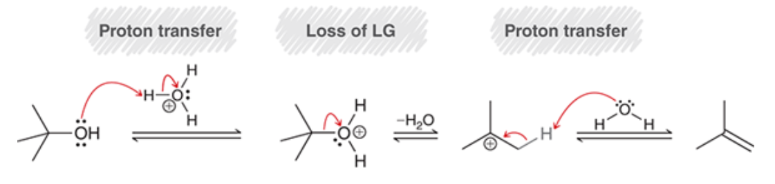 <p>elimination favors more subbed alkene</p>