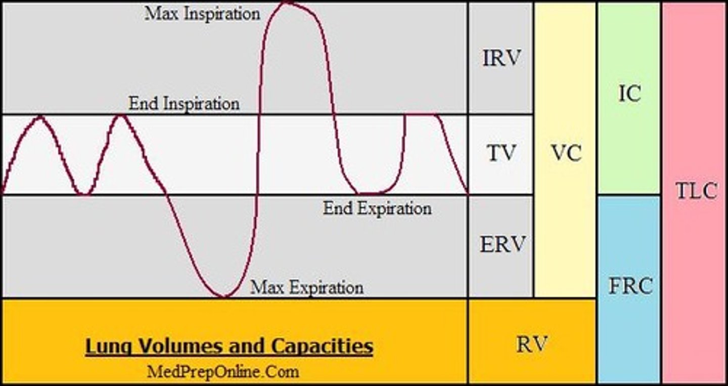 <p>inspiratory reserve volume (IRV) is the Amount of air that can be forcefully inhaled after a normal tidal volume inspiration</p>