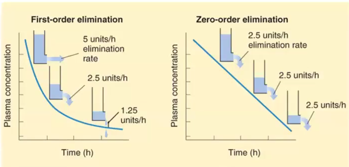 <p>1st order: Drug concentration decreases by the same proportion per unit of time → Half life is a constant of 1st order kinetics</p><p>Zero order: Drug concentration decreases by the same amount but not the same proportion, thus the half life is constantly changing</p><ul><li><p>Ex. Aspirin, Ethanol and Phenytoin</p></li></ul><p></p>