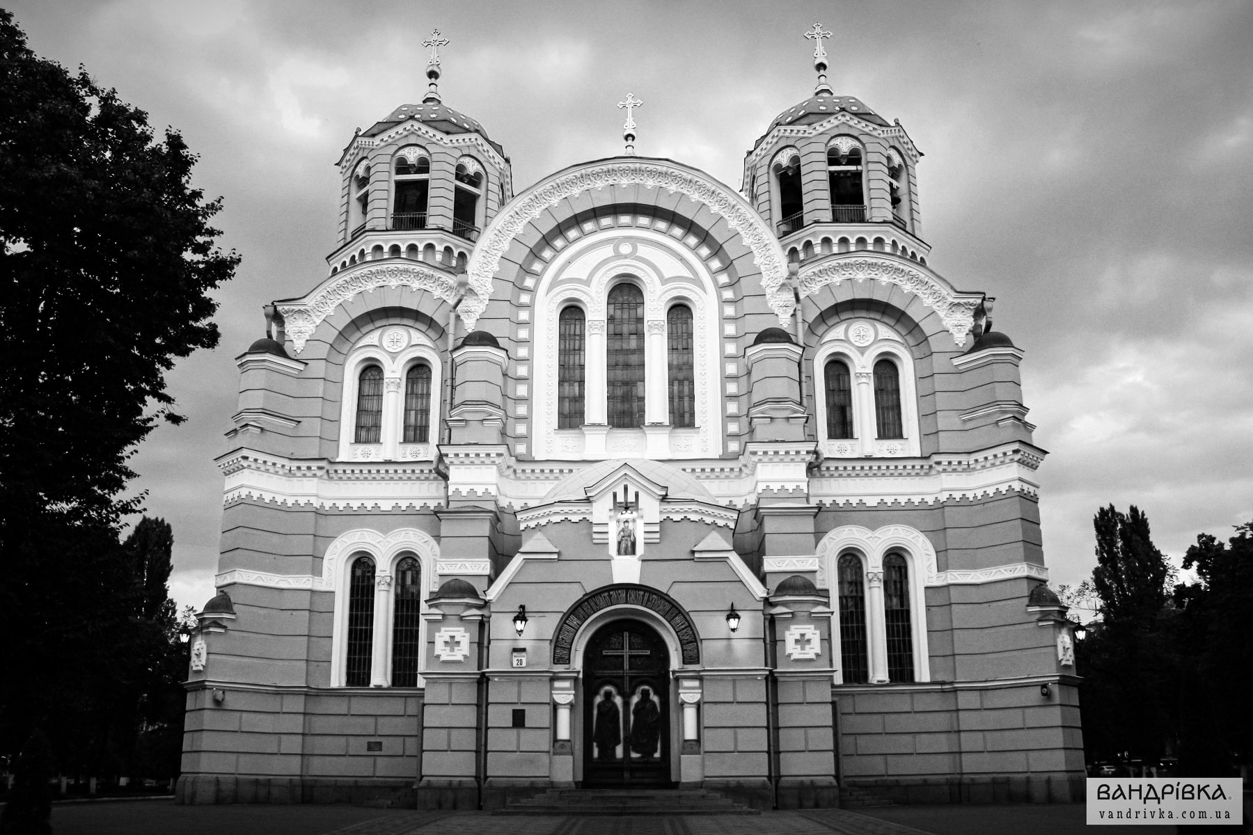 term image