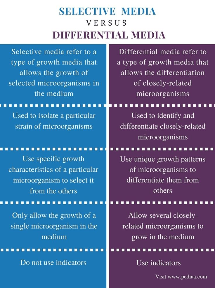 <p><span><span>Selective Media</span></span></p>