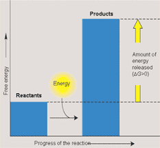 A non-spontaneous chemical reaction in which free energy is absorbed from the surroundings.