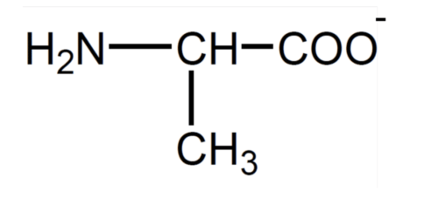 <p>The carboxylic acid group is deprotonated by bases</p>