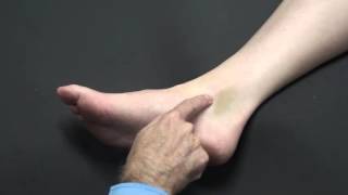 <p>What is the protrusion on the side of the ankle?</p>
