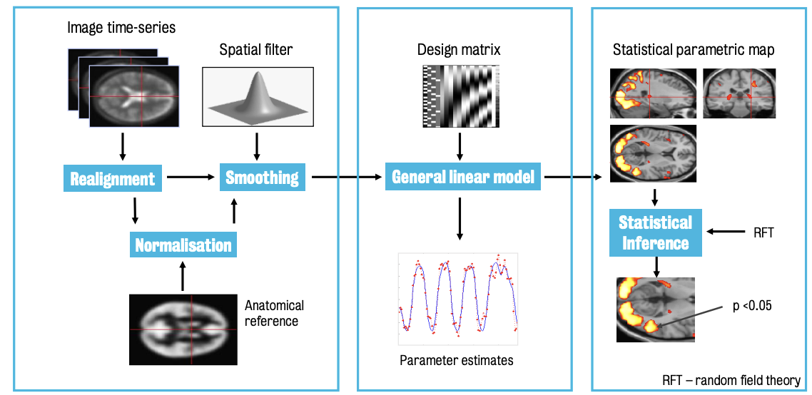 fMRI analysis pipeline