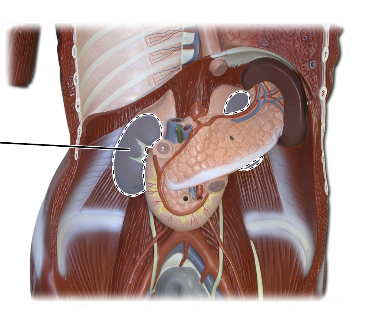 <p>What is this?</p>