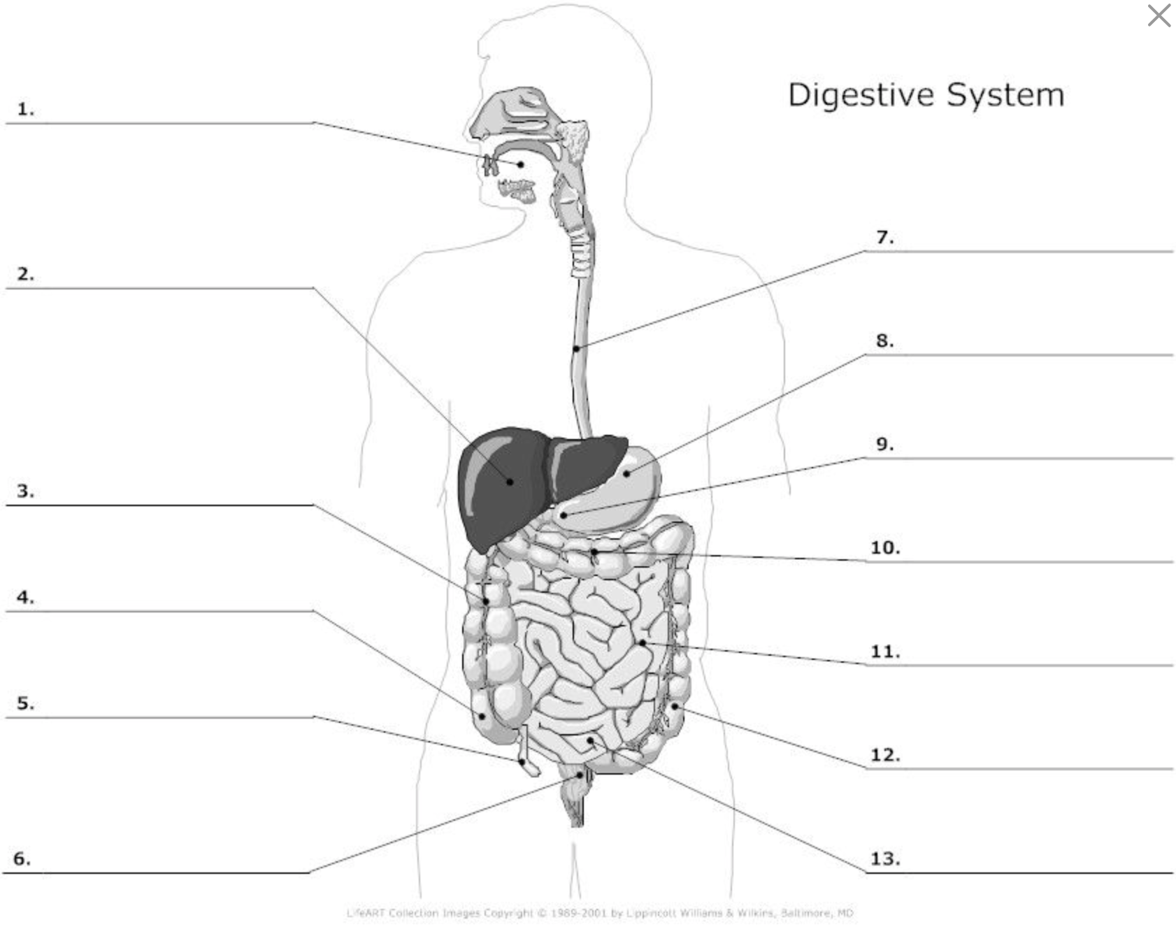 <p>What is #8?</p>