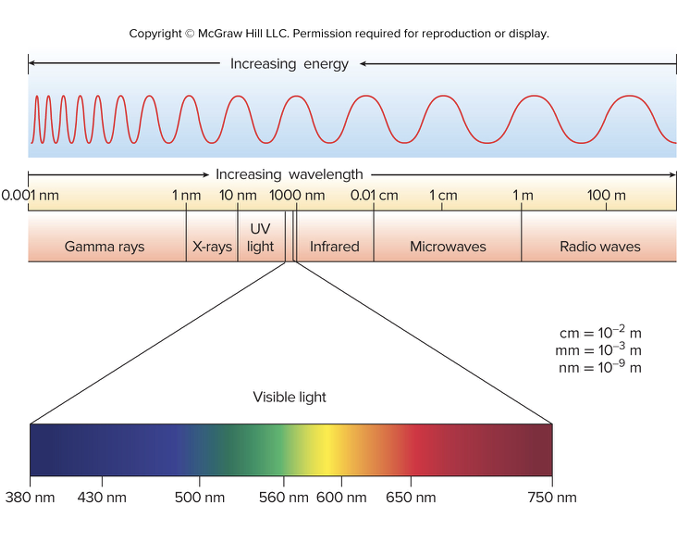 <p>Entire range of wavelengths (frequencies) of electromagnetic radiation</p>