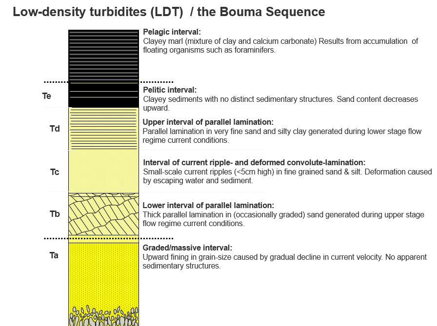 <p>Low Density Turbidites </p>