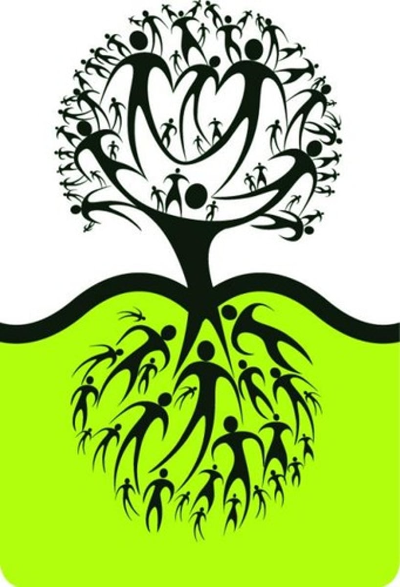 <p>social awareness</p>