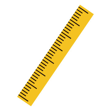 <p>RULER</p>