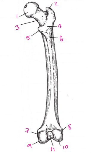 <p>What is number 2? </p>
