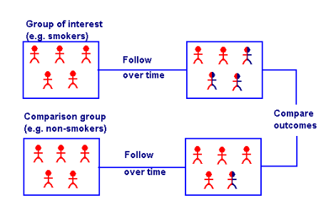 <ul><li><p>exposed and unexposed groups are followed over time to see if they develop an outcome</p></li><li><p>at baseline, neither group has the outcome</p></li><li><p>two groups defined on exposure status</p><ul><li><p>exposed v unexposed</p></li></ul></li><li><p>determines the <em>incidence</em> of outcome and provides measure of relative risk</p></li><li><p>considered the STRONGEST FORM OF OBSERVATIONAL DESIGN</p><ul><li><p>but STILL NO RANDOMIZATION</p></li></ul></li></ul>