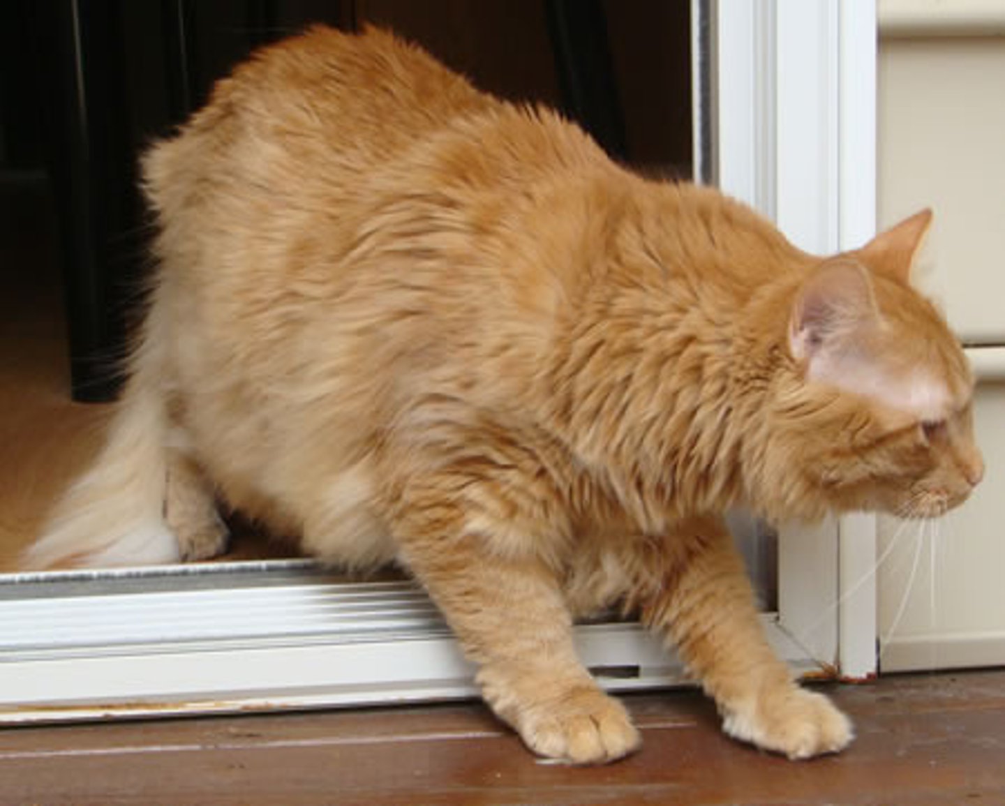 <p>to go out (leave)</p>